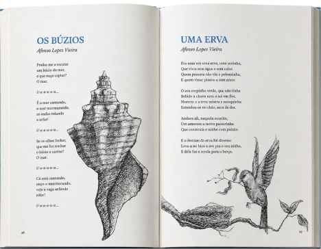 book_marque_06_1x
