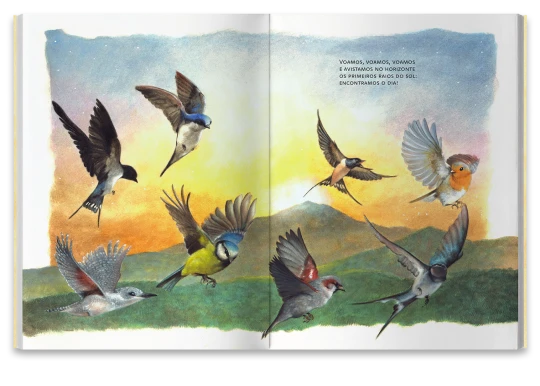 book_marque_12_1x