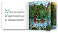 livro-aberto-08.webp